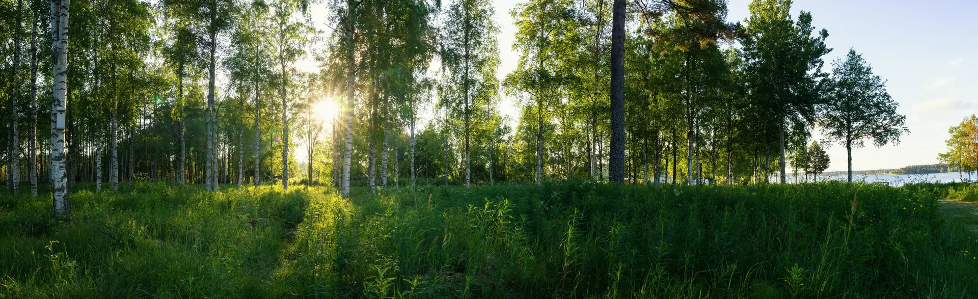Experter på mekanisk frånluft i Örebro